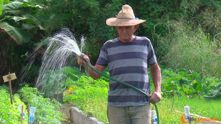 agricultor riega cultivos