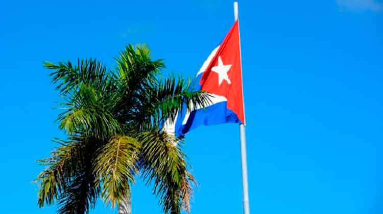 i-bandera-y-palma-cubania-JR