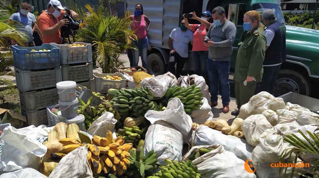 Un día de celebración diferente 9 donación campesinos vc