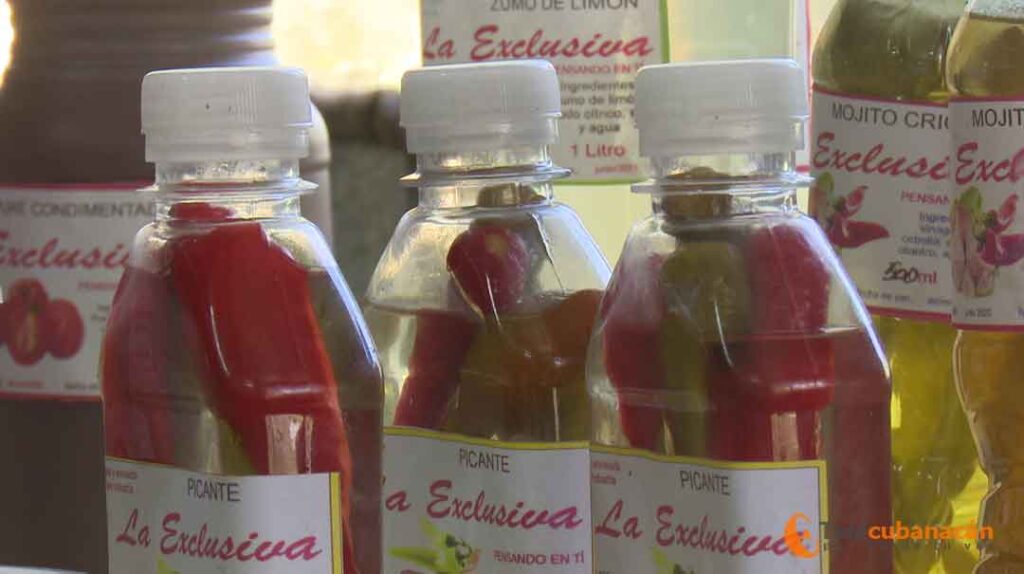 Con responsabilidad colectivo de la minindustria "La Exclusiva" en Santa Clara 1 productos minindustria