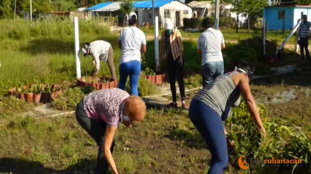 Mejoramiento social en comunidad “Perucho Figueredo” 1 trabajo voluntario