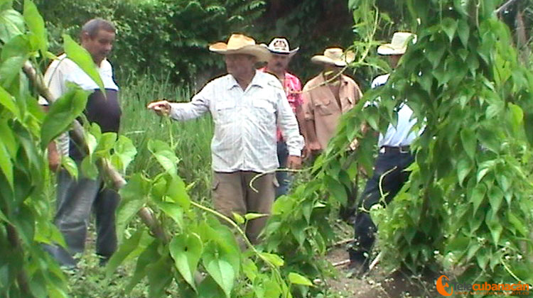 Foto: Archivo/Marelys Díaz