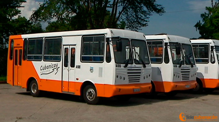 ómnibus Diana