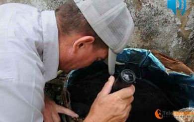No descuidar al Aedes Aegypti