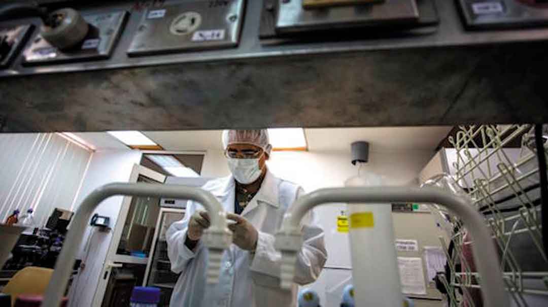 Un científico del Centro de Ingeniería Genética y Biotecnología de La Habana. Foto: Desmond Boyland / Nature.