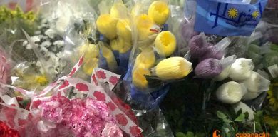 Con el lenguaje de las flores