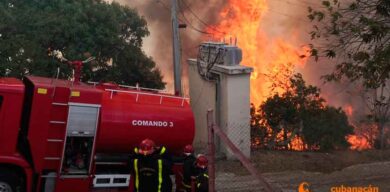 Evitar los incendios forestales es tarea de todo