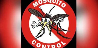 Al mosquito, darle su merecido