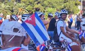 Así se ve la caravana cubana en respaldo al Código de las Familias