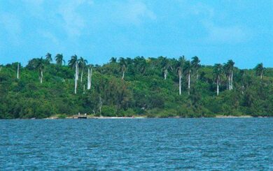 Expertos busca rescatar especies endémicas en cayos de Villa Clara