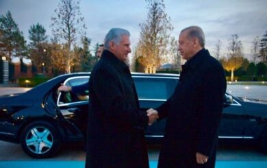 Mandatario turco recibe a Díaz-Canel en el Complejo Presidencial de Türkiye