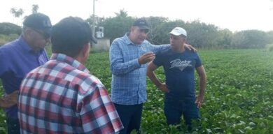 Avanza entrega de tierras para la producción en Villa Clara