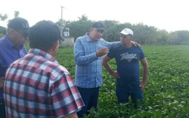 Avanza entrega de tierras para la producción en Villa Clara