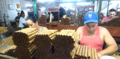 Record productivo en tabaquería de Encrucijada