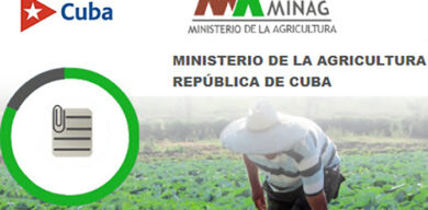 Presidente cubano en reunión de trabajo de la Agricultura