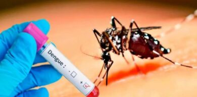 Se triplican los casos de dengue en las Américas, advierte la OPS