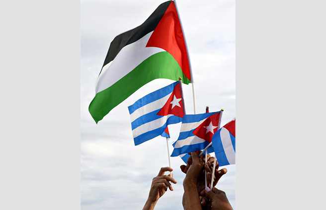 0113 dc israel demanda