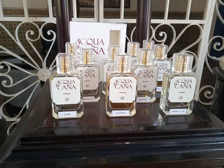 IMG-20250624-WA0096 Remedios y sus aromas de 510 aniversario