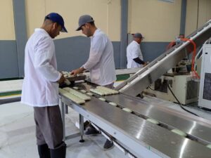 IMG-20250629-WA0044-300x225 Merca-Max: un Proyecto de Desarrollo Local que apuesta por su tierra