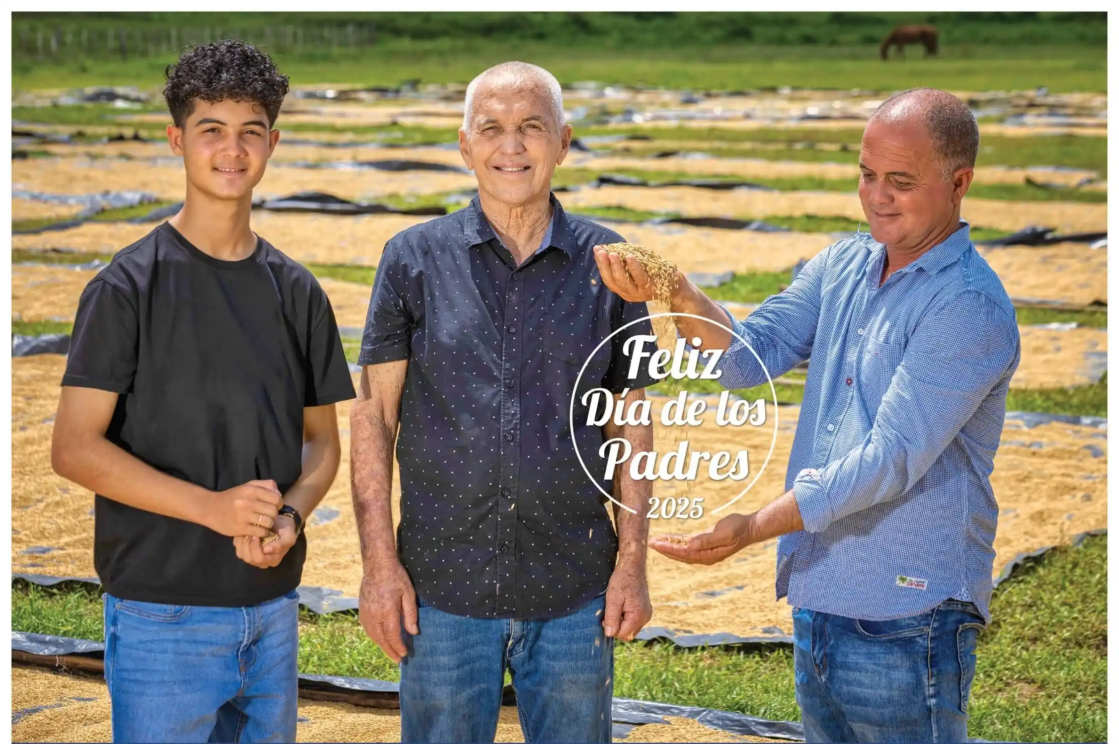 padre