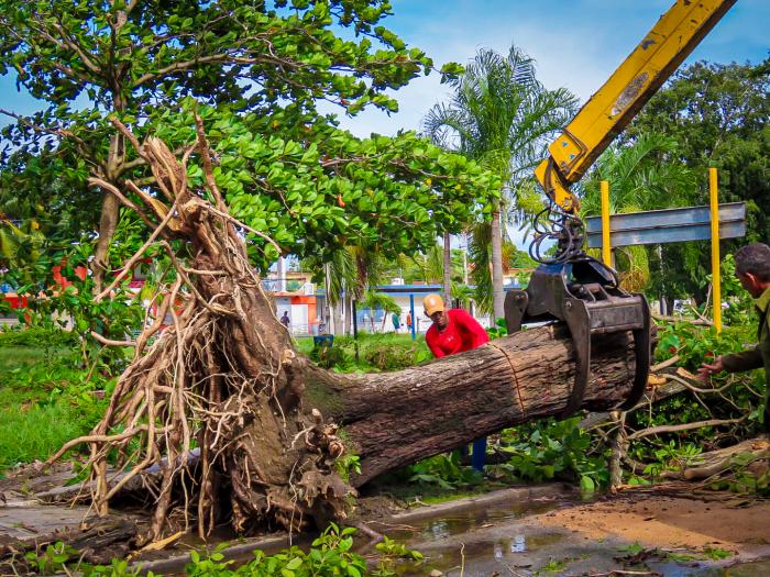 Dos victorias de Cuba por la vida 3 f0437052