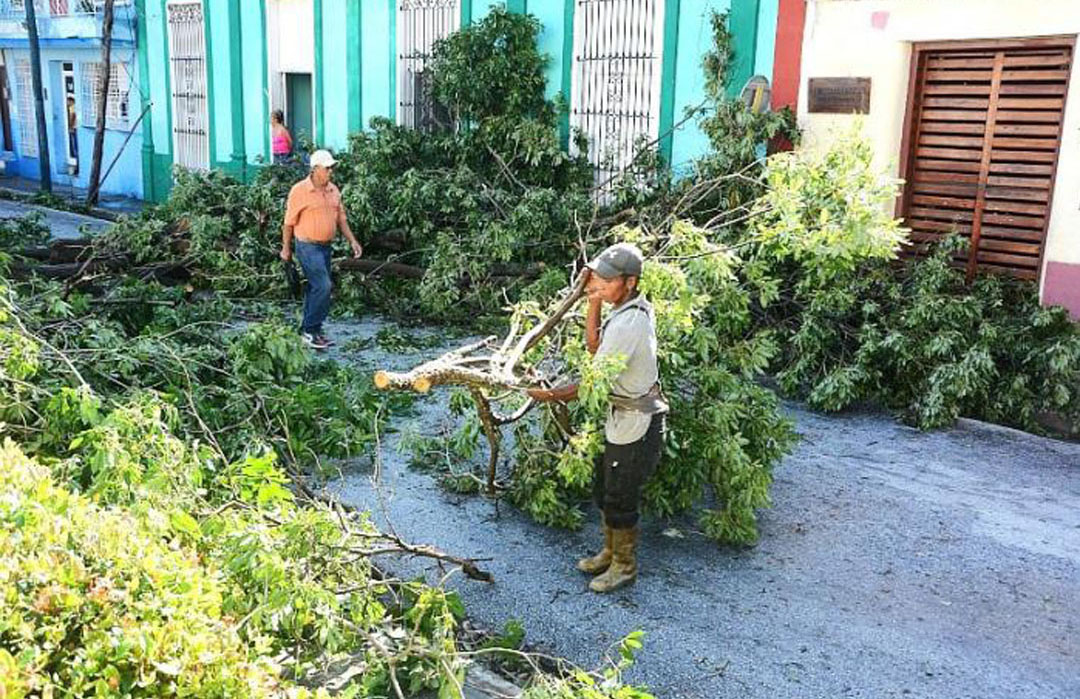 1111 recuperacion melissa