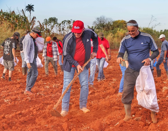 DIAZ CANEL TRABAJO VOLUNTARIO DOS