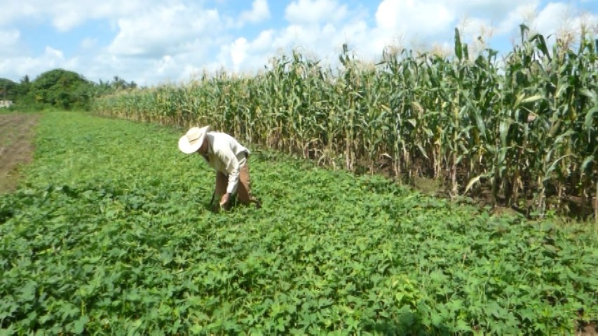 Respuesta de campesinos ante crisis energética 4 IMG 20251118 WA0033