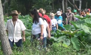 IMG-20251129-WA0001-300x182 Efectúan sesiones de evento internacional de Agroecología en fincas establecidas en el Escambray villaclareño