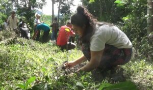 IMG-20251129-WA0002-300x177 Efectúan sesiones de evento internacional de Agroecología en fincas establecidas en el Escambray villaclareño
