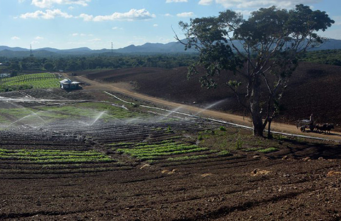 1229 produccion familiar diversificada3