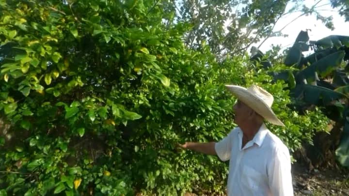 Educación sobre Agricultura urbana 2 IMG 20260113 WA0261