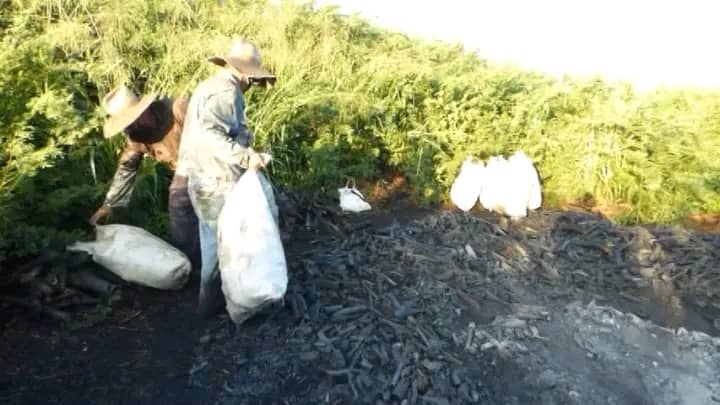 Carbón vegetal en Encrucijada 4 IMG 20260227 WA0021