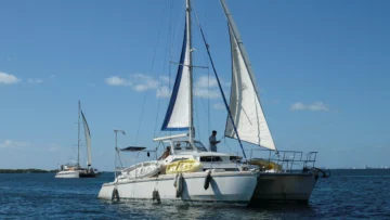 0cbb0760 298c 11f1 8008 c581a0e8