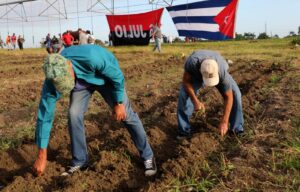 0031cc24-8455-4135-a1f3-ca5bc5af7733-300x192 Villaclareños se unen contra el Bloqueo Económico de EE. UU. a Cuba