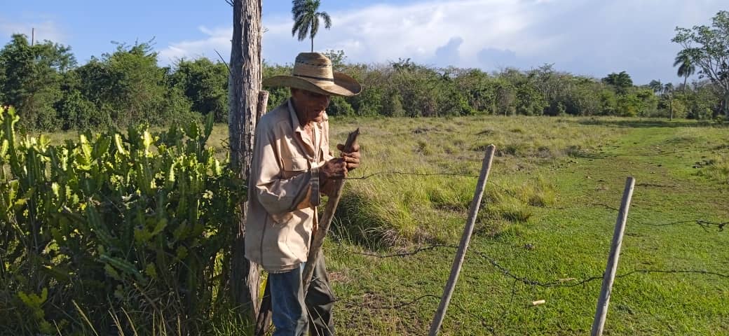 Roberto Chirino, un campesino, sembrador de futuro 3 IMG 20260521 WA0023
