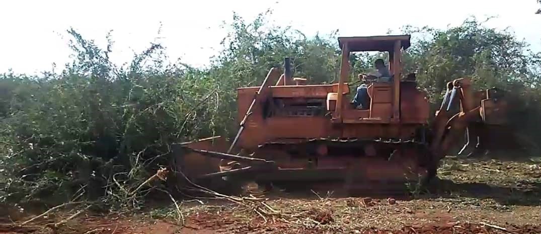 La tierra: mina de oro sin explotar adecuadamente 4 tierras2